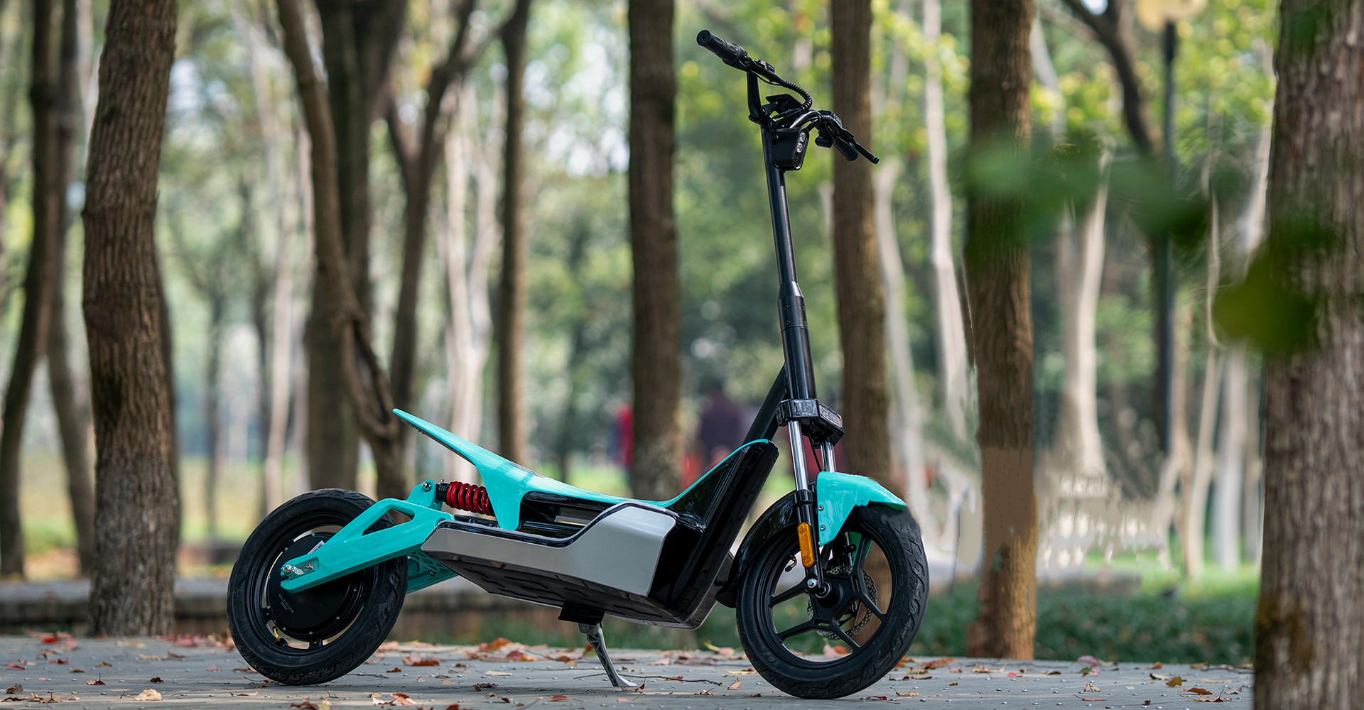 F1 电动滑板车 - fasfab EV