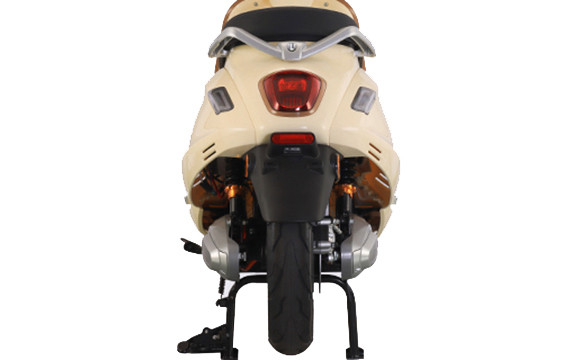 MAX 电动自行车 - fasfab EV