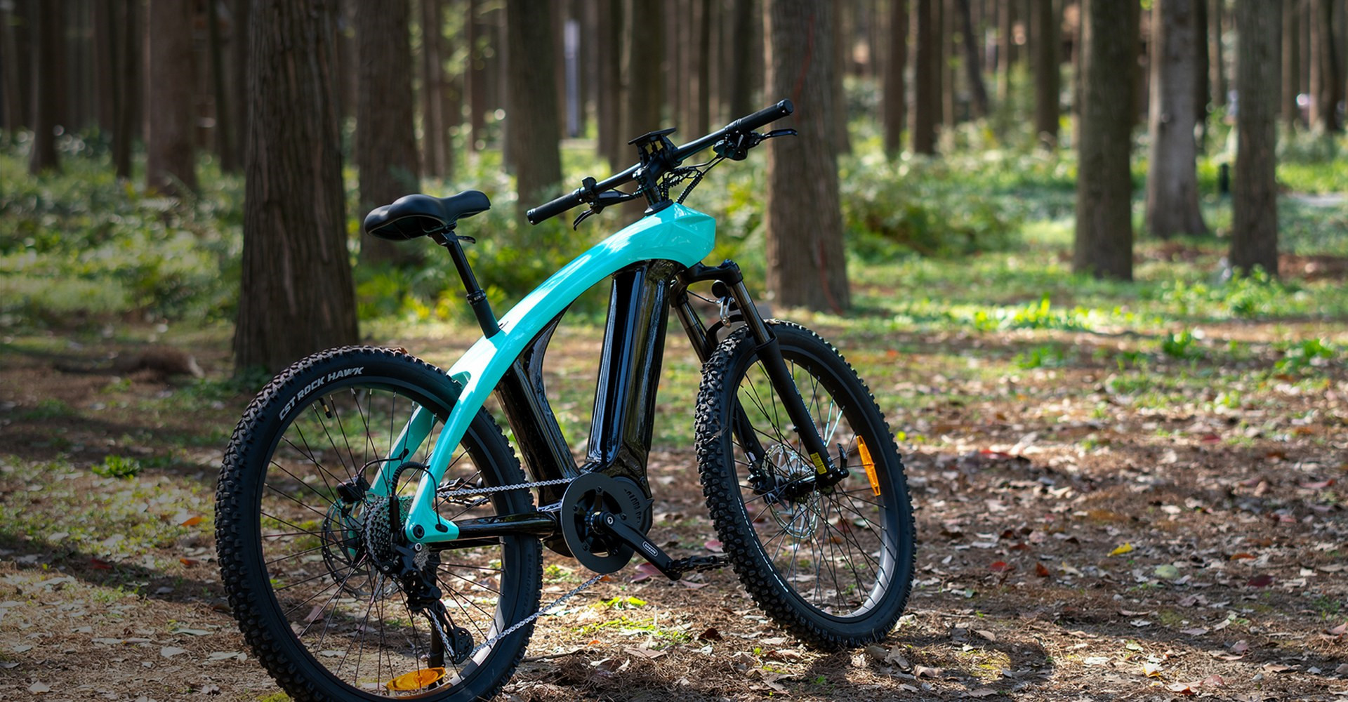 Z1 电动自行车 - fasfab EV